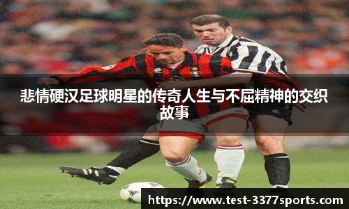 3377官网
