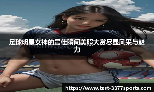 3377体育官网